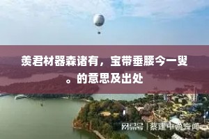 羡君材器森诸有，宝带垂腰今一叟。的意思及出处