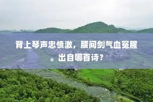 背上琴声忠愤激，腰间剑气血冤腥。出自哪首诗？
