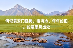 何似袁安门昼掩，抱清冷、年年如旧。的意思及出处
