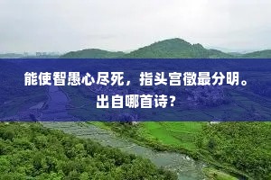 能使智愚心尽死，指头宫徵最分明。出自哪首诗？