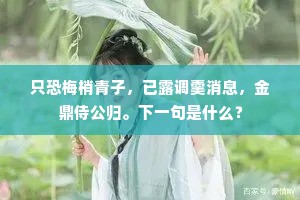 只恐梅梢青子，已露调羹消息，金鼎侍公归。下一句是什么？