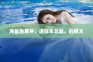 海盐当其冲，适际东北趾。的释义
