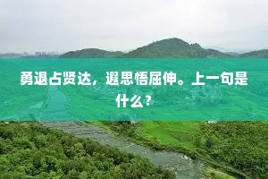 勇退占贤达，遐思悟屈伸。上一句是什么？