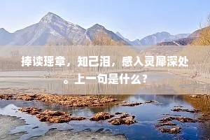捧读瑶章，知己泪，感入灵犀深处。上一句是什么？