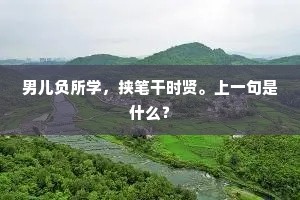 男儿负所学，挟笔干时贤。上一句是什么？