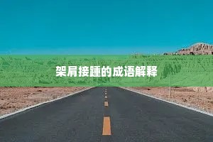 架肩接踵的成语解释