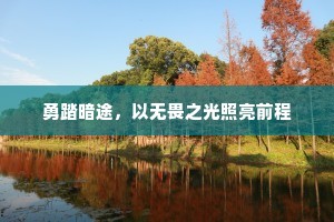 勇踏暗途，以无畏之光照亮前程