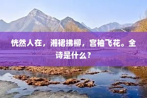 恍然人在，湘裙拂柳，宫袖飞花。全诗是什么？