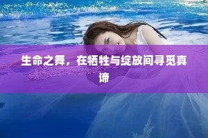 生命之舞，在牺牲与绽放间寻觅真谛