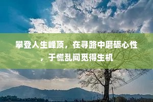 攀登人生峰顶，在寻路中磨砺心性，于慌乱间觅得生机