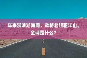 年来漫浪湖海间，欲将老眼驱江山。全诗是什么？