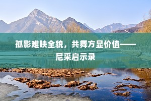 孤影难映全貌，共舞方显价值——尼采启示录
