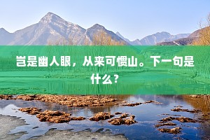 岂是幽人眼，从来可惯山。下一句是什么？