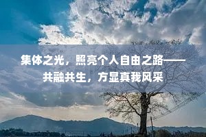 集体之光，照亮个人自由之路——共融共生，方显真我风采