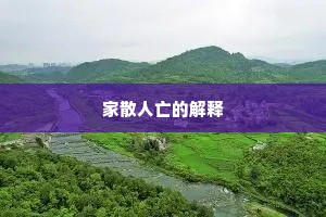 家散人亡的解释