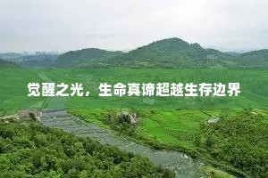 觉醒之光，生命真谛超越生存边界