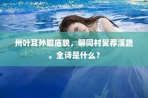 卅叶耳孙瞻庙貌，聊同村叟荐溪蔬。全诗是什么？