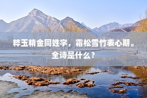 粹玉精金同姓字，霜松雪竹表心期。全诗是什么？