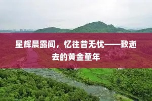 星辉晨露间，忆往昔无忧——致逝去的黄金童年