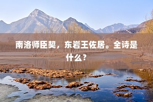 南洛师臣契，东岩王佐居。全诗是什么？