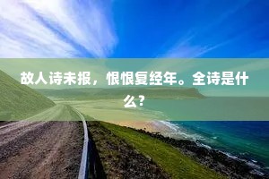 故人诗未报，恨恨复经年。全诗是什么？