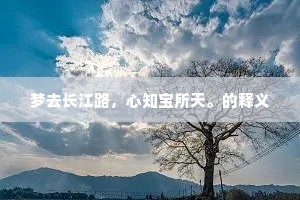 梦去长江路，心知宝所天。的释义