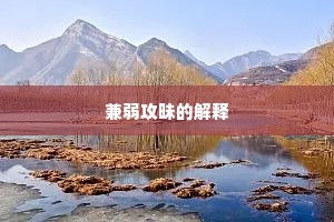 兼弱攻昧的解释