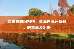 绿尊青眼旧相得，黄菊白头还好簪。的意思及出处