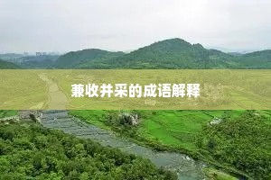 兼收并采的成语解释