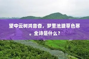 望中云树鸿音杳，梦里池塘草色寒。全诗是什么？