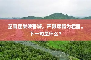 芷葺莲巢唤客游，芦鞭席帽为君留。下一句是什么？