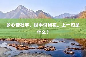 乡心惭杜宇，世事付杨花。上一句是什么？