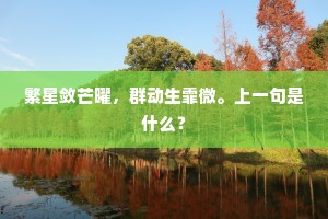 繁星敛芒曜，群动生霏微。上一句是什么？