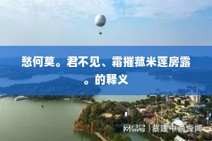 愁何莫。君不见、霜摧菰米莲房露。的释义