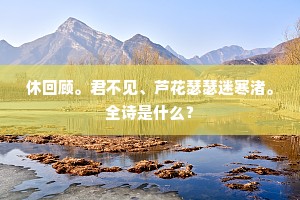 休回顾。君不见、芦花瑟瑟迷寒渚。全诗是什么？