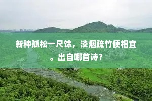 新种孤松一尺馀，淡烟疏竹便相宜。出自哪首诗？
