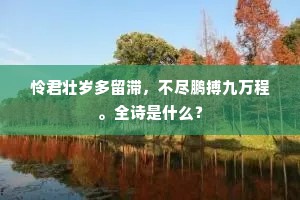 怜君壮岁多留滞，不尽鹏搏九万程。全诗是什么？