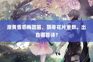 渐黄昏怨梅疏笛，飘零花片重数。出自哪首诗？