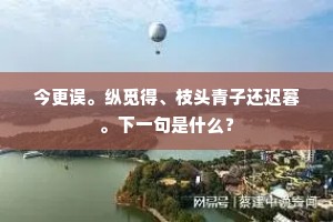 今更误。纵觅得、枝头青子还迟暮。下一句是什么？