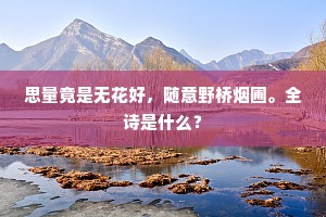 思量竟是无花好，随意野桥烟圃。全诗是什么？