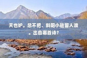 天也妒。总不把、斜阳小驻留人渡。出自哪首诗？