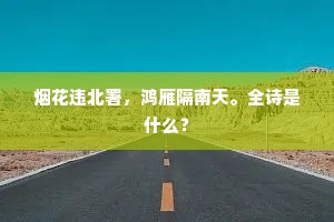 烟花违北署，鸿雁隔南天。全诗是什么？