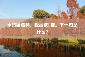 水暗疑藏鳄，峰高欲跕鸢。下一句是什么？