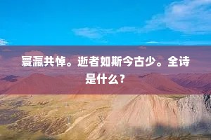 寰瀛共悼。逝者如斯今古少。全诗是什么？
