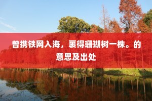 曾携铁网入海，裹得珊瑚树一株。的意思及出处