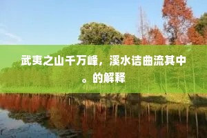 武夷之山千万峰，溪水诘曲流其中。的解释