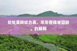 处处柔肠叹合离，年年香魄嗟圆缺。的解释