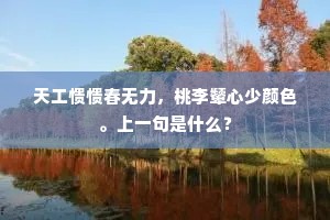 天工愦愦春无力，桃李颦心少颜色。上一句是什么？