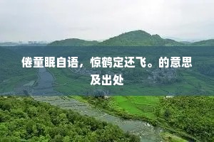 倦童眠自语，惊鹤定还飞。的意思及出处