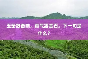 玉箫散奇响，真气凄金石。下一句是什么？